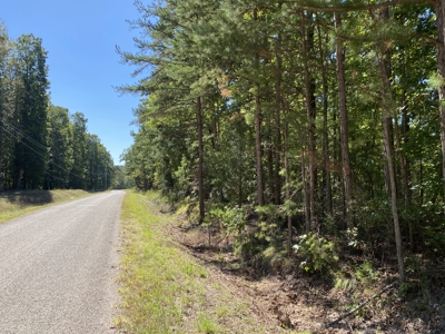 Land For Sale In Tn. Mature Hardwoods, 7.5Ac+/- No Restrictions - image 1