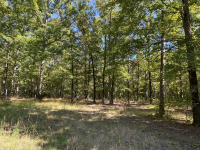 Land For Sale In Tn. Mature Hardwoods, 7.5Ac+/- No Restrictions - image 18