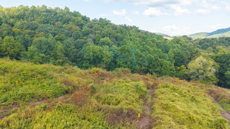 East Tennessee Dream Land- Freedom in Hancock County Unrestricted - image 8