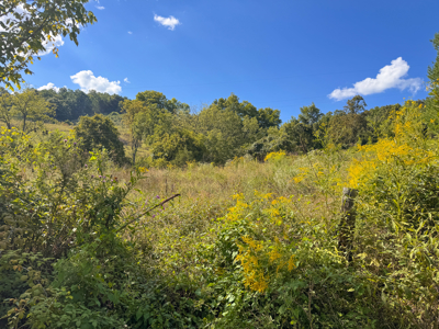 East Tennessee Dream Land- Freedom in Hancock County Unrestricted - image 25