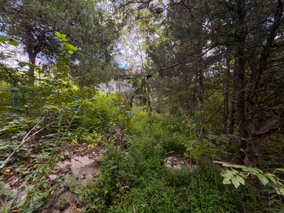 East Tennessee Dream Land- Freedom in Hancock County Unrestricted - image 30