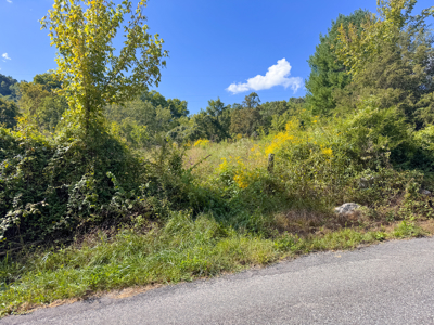 East Tennessee Dream Land- Freedom in Hancock County Unrestricted - image 24