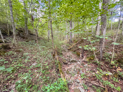 East Tennessee Dream Land- Freedom in Hancock County Unrestricted - image 19