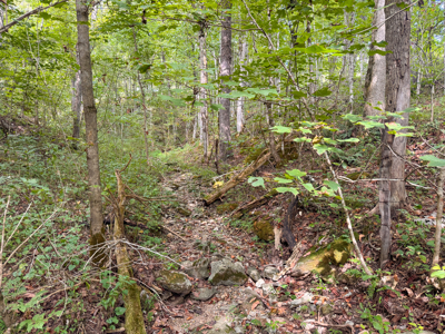 East Tennessee Dream Land- Freedom in Hancock County Unrestricted - image 21