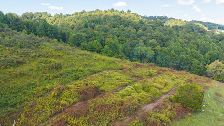 East Tennessee Dream Land- Freedom in Hancock County Unrestricted - image 7