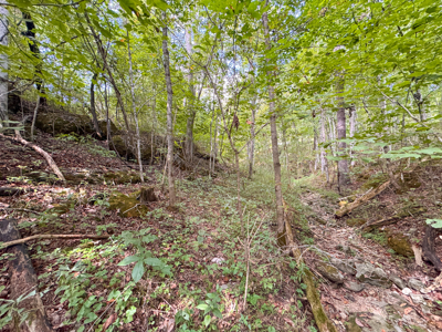 East Tennessee Dream Land- Freedom in Hancock County Unrestricted - image 20