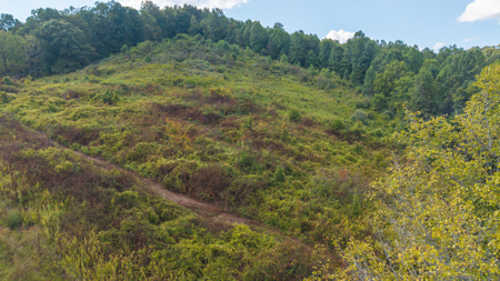 East Tennessee Dream Land- Freedom in Hancock County Unrestricted - image 5