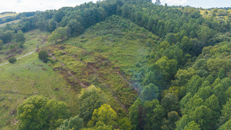 East Tennessee Dream Land- Freedom in Hancock County Unrestricted - image 4