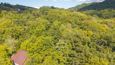 East Tennessee Dream Land- Freedom in Hancock County Unrestricted - image 14