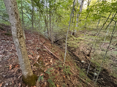 East Tennessee Dream Land- Freedom in Hancock County Unrestricted - image 29