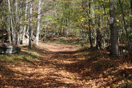 Sportsman's Paradise Large Acreage For Sale in Roscoe, New York - image 3