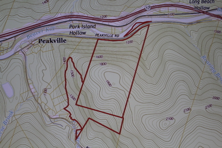 Sportsman's Paradise Large Acreage For Sale in Roscoe, New York - image 18
