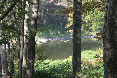 Sportsman's Paradise Large Acreage For Sale in Roscoe, New York - image 12