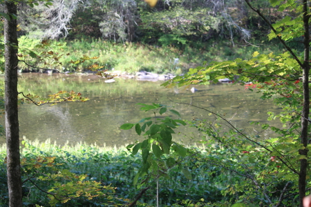 Sportsman's Paradise Large Acreage For Sale in Roscoe, New York - image 11