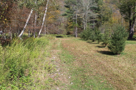 Sportsman's Paradise Large Acreage For Sale in Roscoe, New York - image 1
