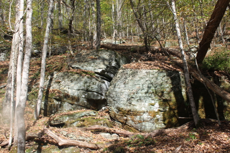 Sportsman's Paradise Large Acreage For Sale in Roscoe, New York - image 7