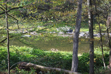 Sportsman's Paradise Large Acreage For Sale in Roscoe, New York - image 8
