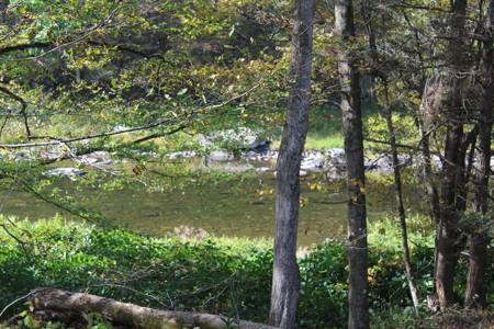 Sportsman's Paradise Large Acreage For Sale in Roscoe, New York - image 9