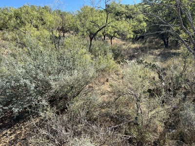 Lot at Lake Brownwood For Sale - image 3