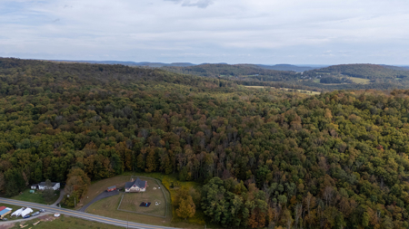 Country Home With Acreage For Sale in Roscoe, New York - image 2
