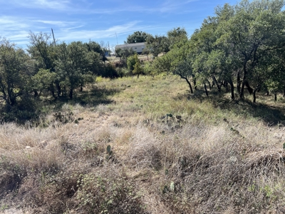 Lots 29 & 30 Brook Valley Dr, May, TX – Lake Brownwood Area - image 3
