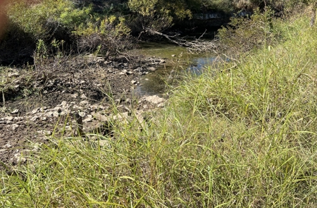 Lots 29 & 30 Brook Valley Dr, May, TX – Lake Brownwood Area - image 2