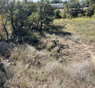 Lots 29 & 30 Brook Valley Dr, May, TX – Lake Brownwood Area - image 4