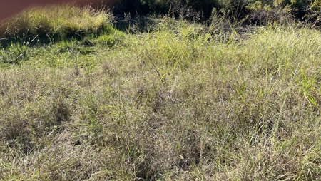 Lots 29 & 30 Brook Valley Dr, May, TX – Lake Brownwood Area - image 1