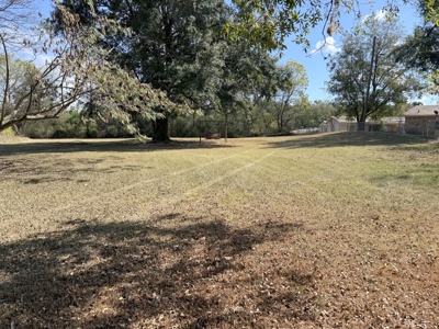 Residential Lot in Town For Sale - Winnsboro - Wood County Texas - image 2