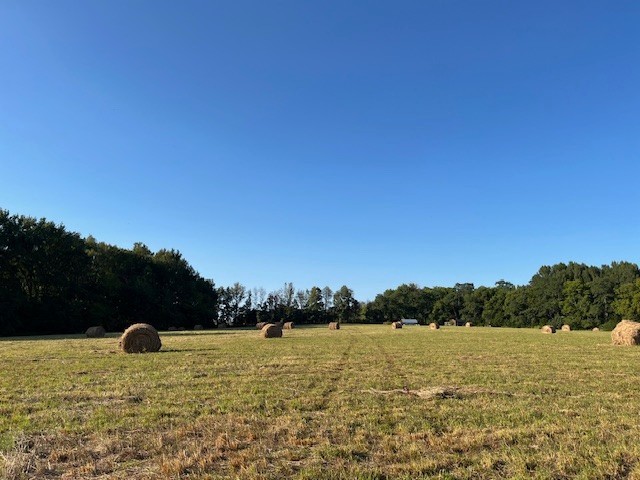 Beautiful cleared level land, private with forested fringes on three sides