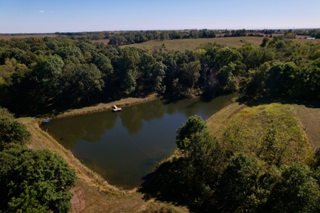 40 Acres with Home and Hunting Land Near Maysville MO - image 7