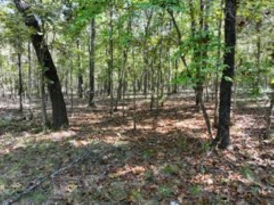 3.24 Acres Bordering the Corps of Engineers on Bull Shoals Lake - image 7