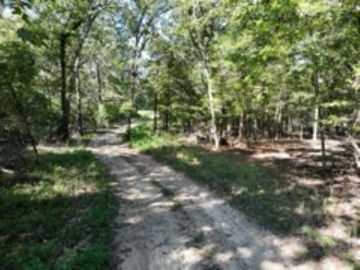 3.24 Acres Bordering the Corps of Engineers on Bull Shoals Lake - image 2