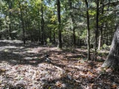 3.24 Acres Bordering the Corps of Engineers on Bull Shoals Lake - image 6