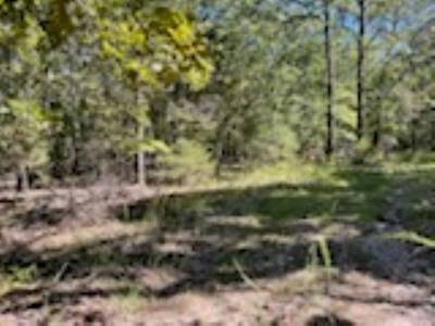 3.24 Acres Bordering the Corps of Engineers on Bull Shoals Lake - image 15