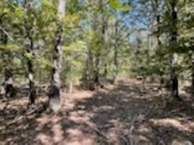3.24 Acres Bordering the Corps of Engineers on Bull Shoals Lake - image 17