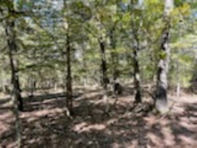 3.24 Acres Bordering the Corps of Engineers on Bull Shoals Lake - image 18