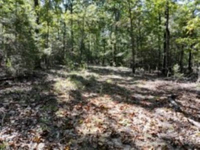 3.24 Acres Bordering the Corps of Engineers on Bull Shoals Lake - image 5