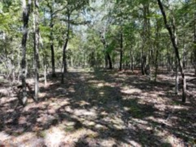 3.24 Acres Bordering the Corps of Engineers on Bull Shoals Lake - image 4