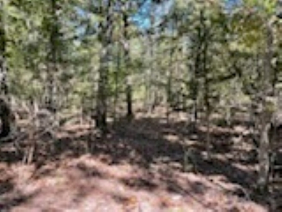 3.24 Acres Bordering the Corps of Engineers on Bull Shoals Lake - image 16
