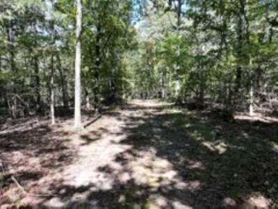 3.24 Acres Bordering the Corps of Engineers on Bull Shoals Lake - image 3