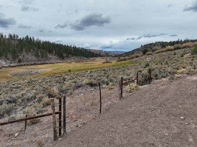 Eastern Oregon Cricket Creek Acres - image 31