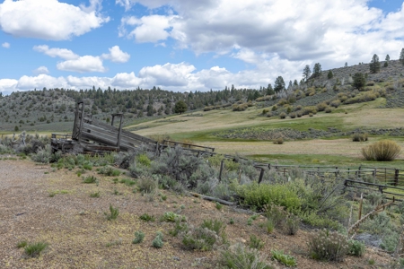 Eastern Oregon Cricket Creek Acres - image 23