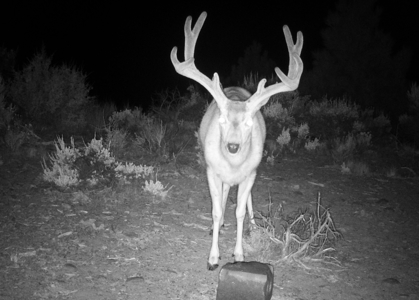 Eastern Oregon Cricket Creek Acres - image 17