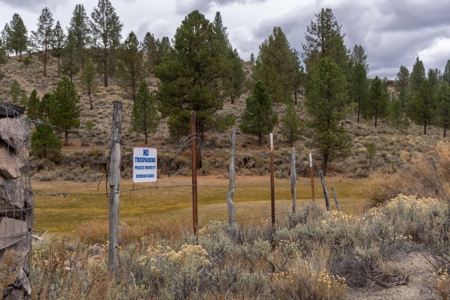 Eastern Oregon Cricket Creek Acres - image 9