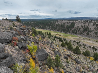 Eastern Oregon Cricket Creek Acres - image 1