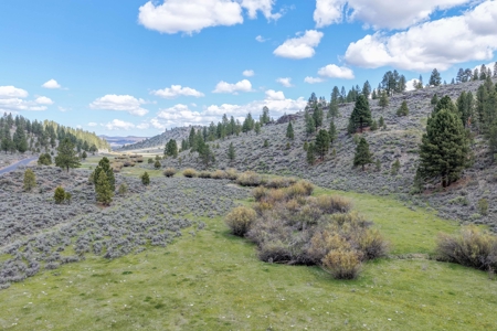 Eastern Oregon Cricket Creek Acres - image 38
