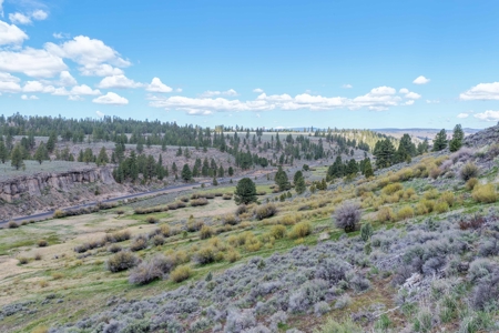 Eastern Oregon Cricket Creek Acres - image 36