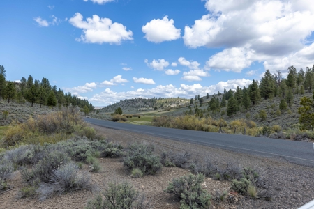 Eastern Oregon Cricket Creek Acres - image 22