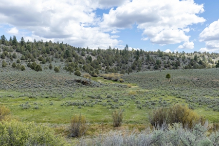 Eastern Oregon Cricket Creek Acres - image 25